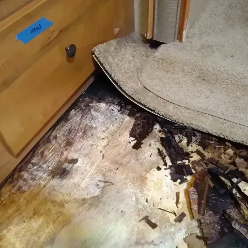 Wood Floor Water Damage in Albion, PA